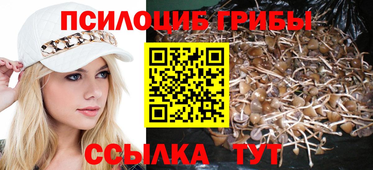 Галлюциногенные грибы Magic Shrooms Назрань